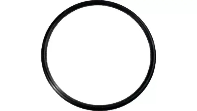 Oferta O-ring