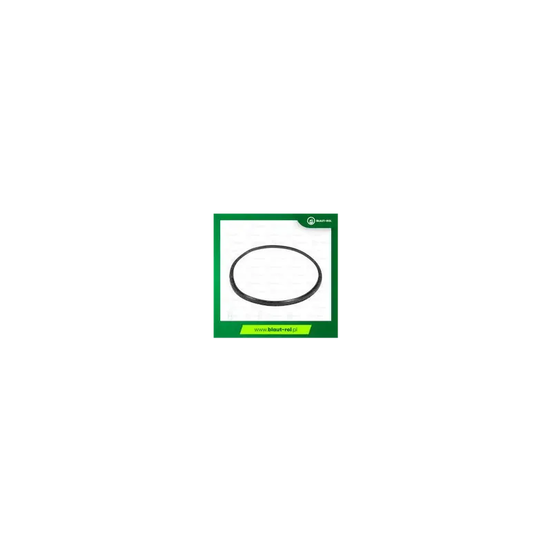 Uszczelka O-ring ARAG 123,19 × 5,33 mm 352000020 Szybka dostawa
